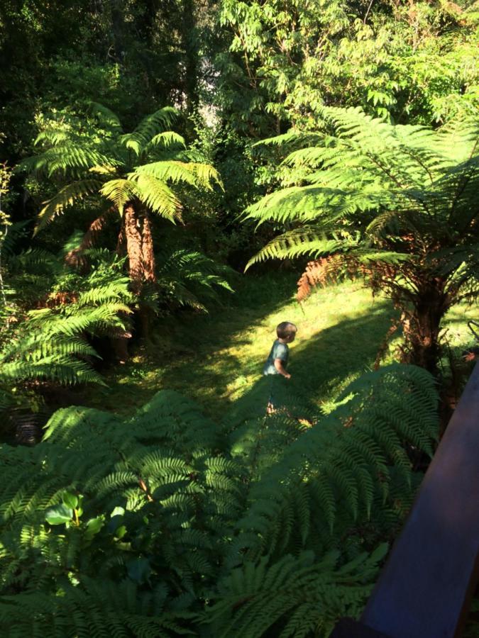 The Ferns Hideaway Villa Franz Josef Kültér fotó